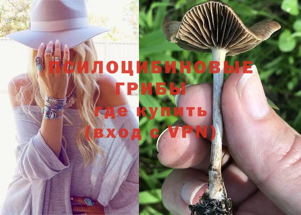 MDMA Premium VHQ Яблоновский
