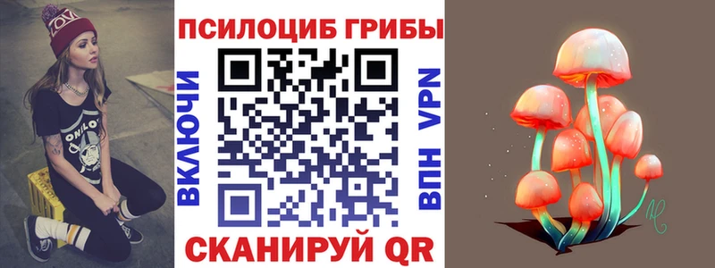 Псилоцибиновые грибы Psilocybe  Вязники 