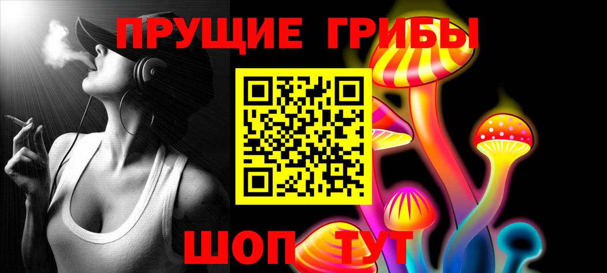 дарнет шоп  Псилоцибиновые грибы ЛСД  Вход с VPN  Вязники 